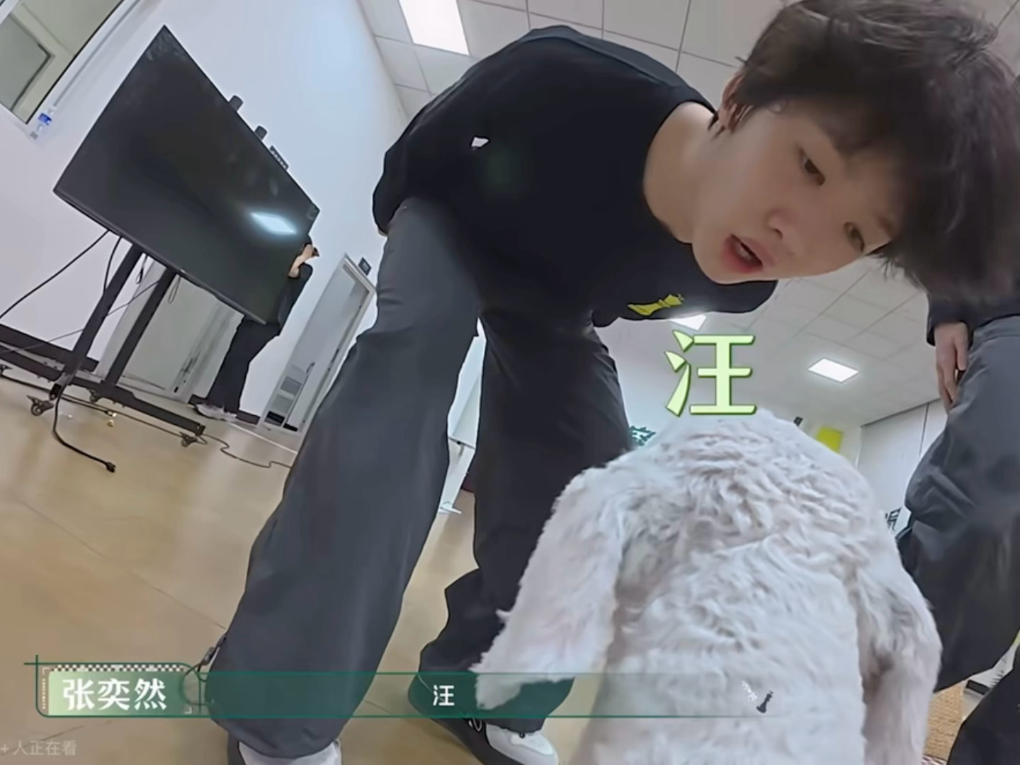 如此平易近狗 
