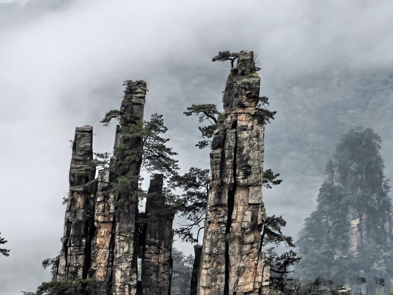 【十楼杂记】12点40到张家界。这时，雨已经停了，但并没有晴的意思。
我们住的