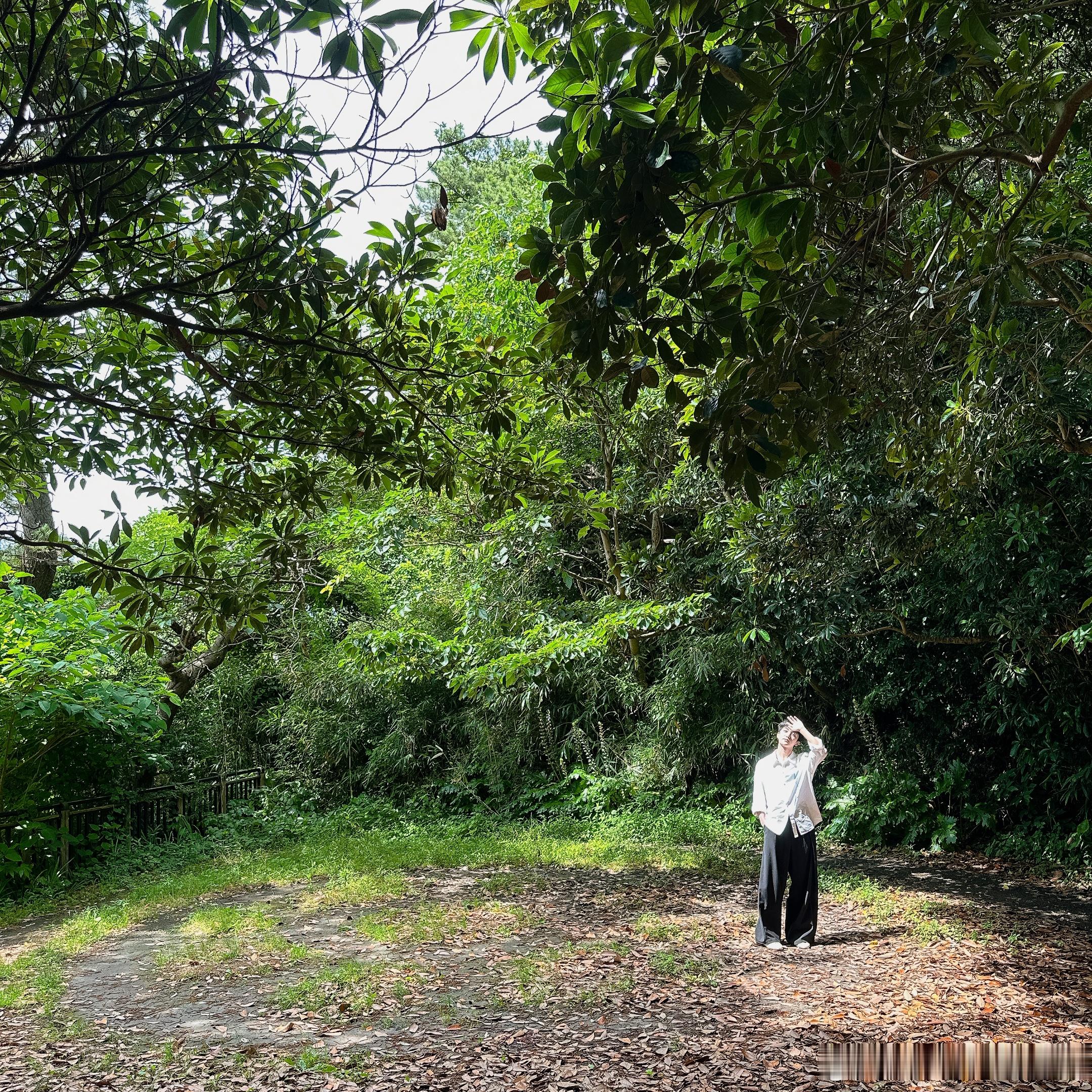 得知暗恋的人去爬山了我就这样发自己在山间的照片碰瓷。 ​​​