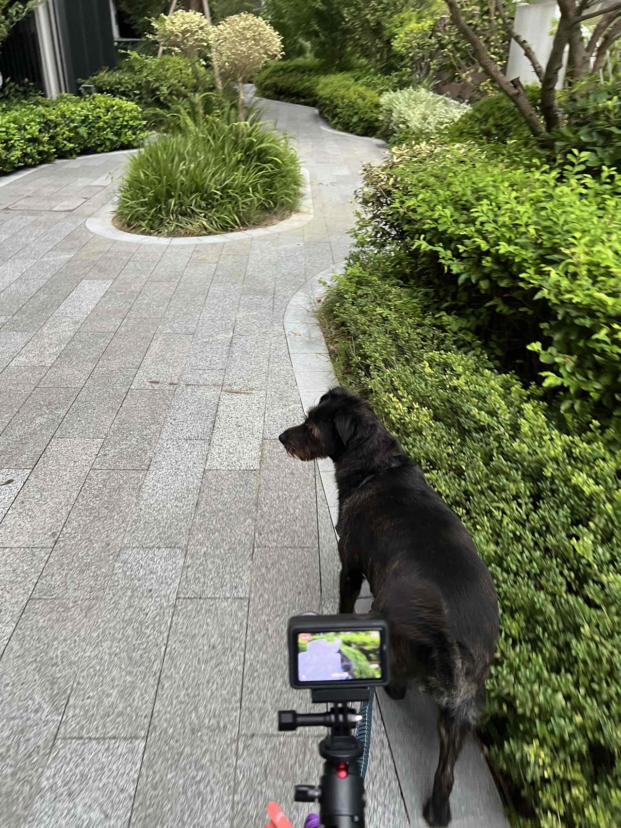 趁雨还没下下来先出来溜达一下