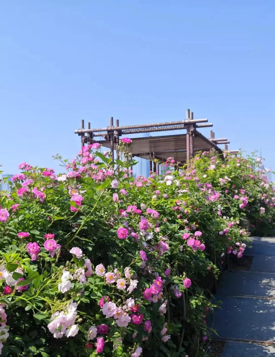 每天次看到朋友向自己老公伸手要钱，感觉心里真不是滋味。

朋友两口子在外地打工了