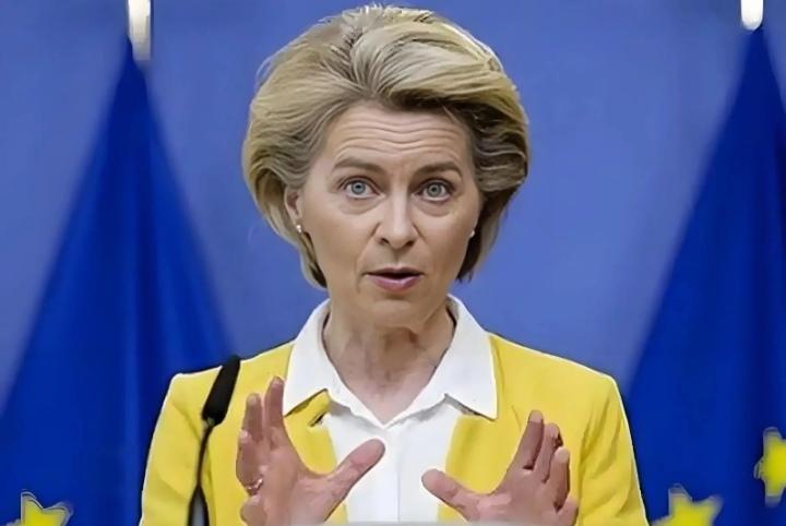 冯德莱恩还是有两把刷子，至少这翻脸的速度比翻书还快。
        2021年