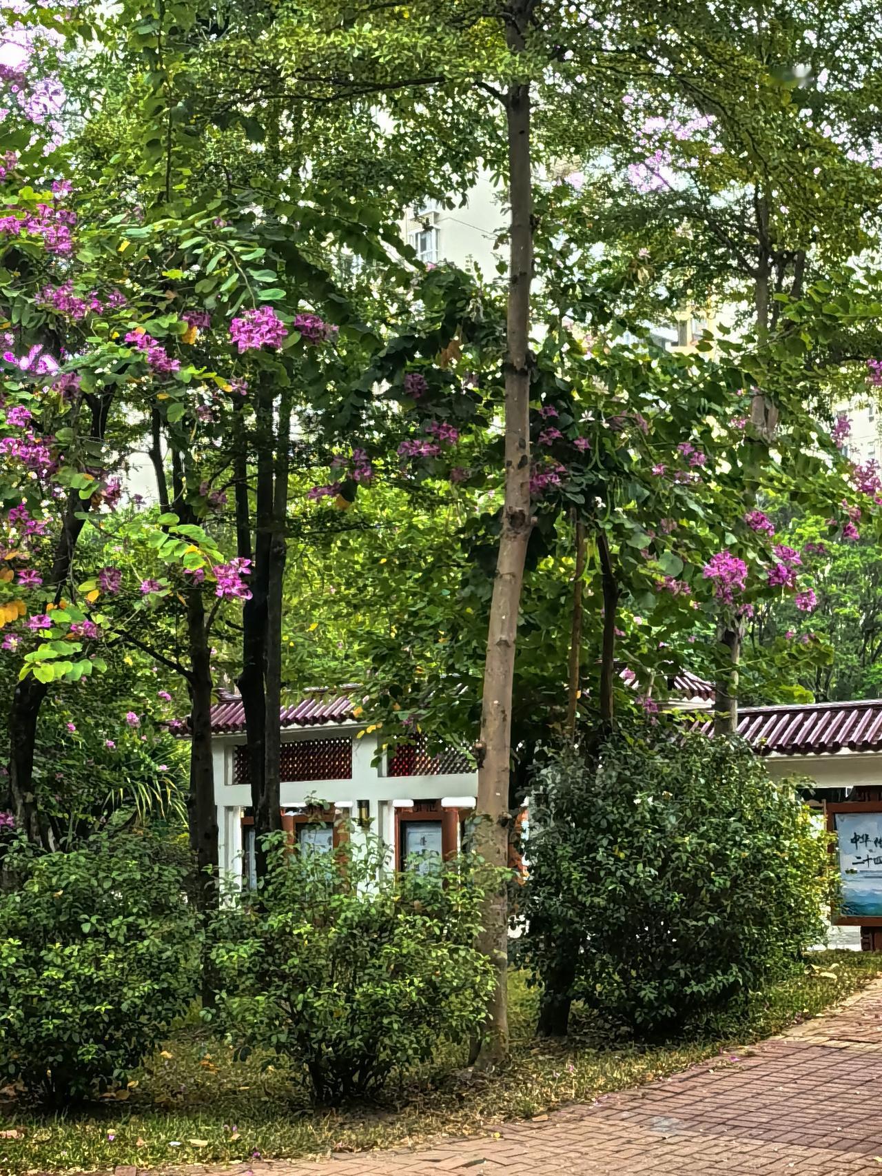 应该不是骂鸿蒙6，而是头条没有配合做好软件的融合。动作真不如微信快，也没有微信积