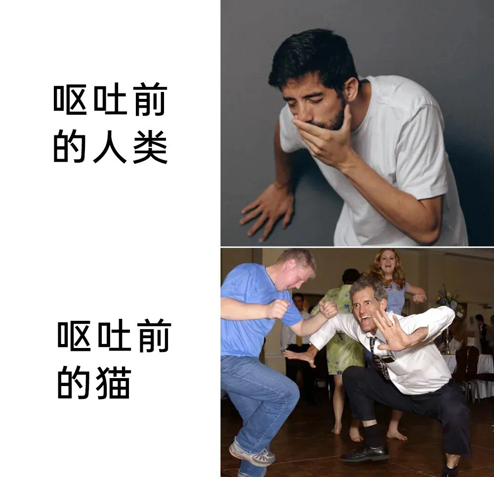 b图 