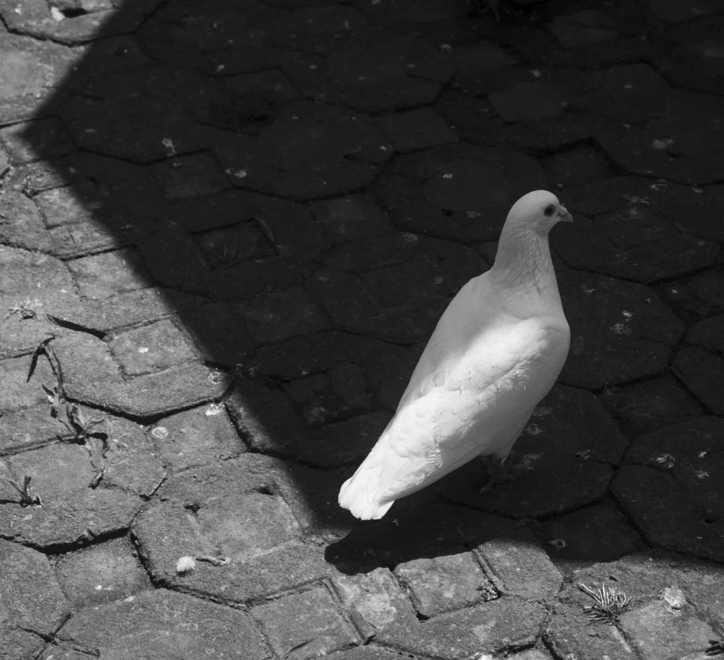 内向的人能做什么工作内向性格的人在单位适合做内勤工作，比如政工人事档案管理文案处