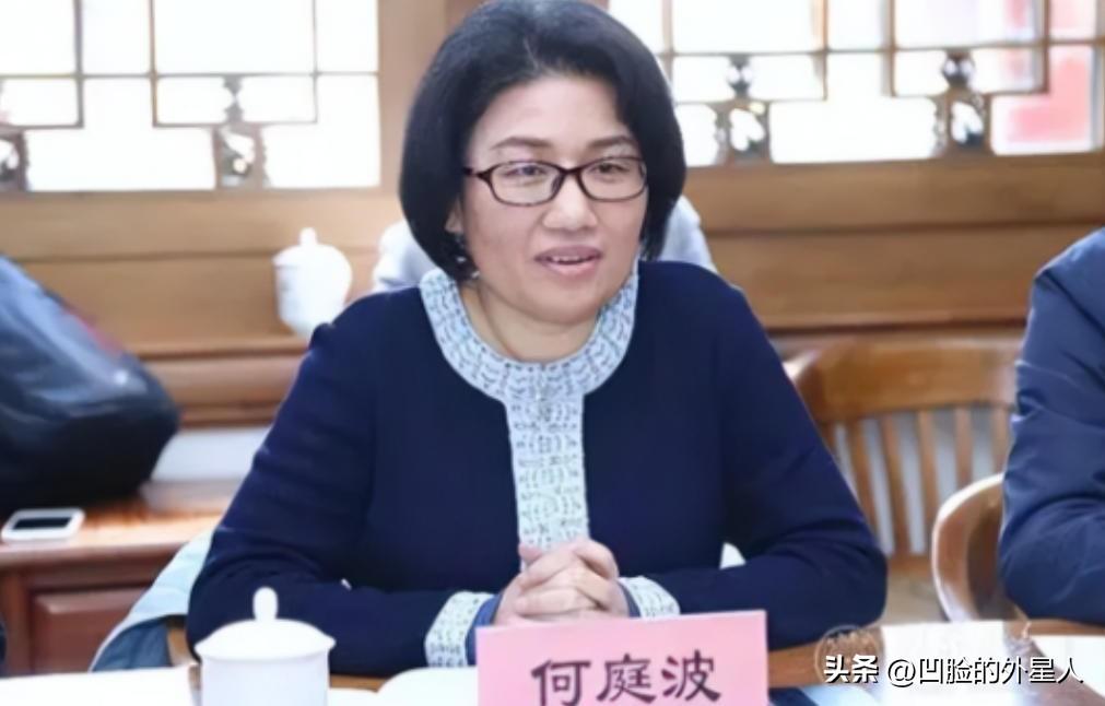 2003年，女工程师何庭波得知，华为芯片研发每年有24亿经费，惊叫道：“这么多，