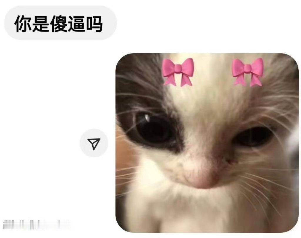 这就是我 