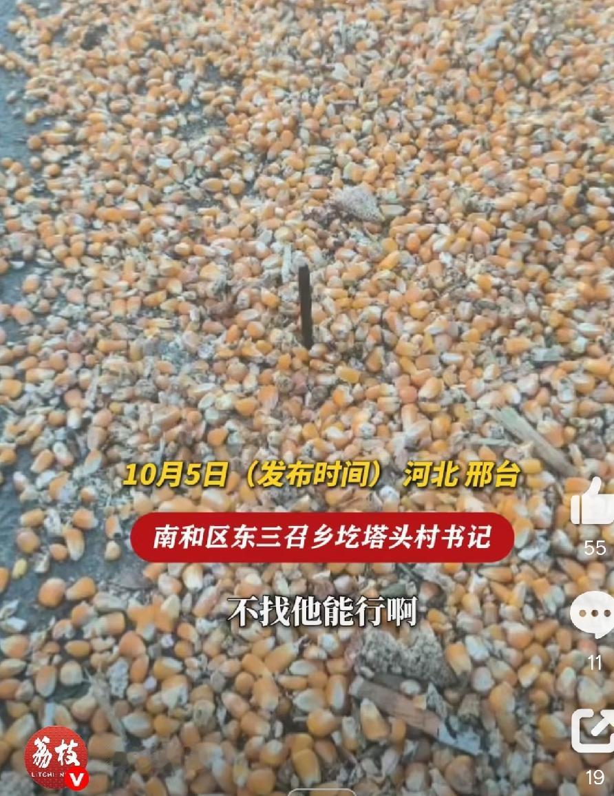 每年都在发生，
在马路上晒玉米，还在玉米粒放钉子，意想不到的是，警方给予了批评教