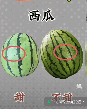 瓜甜不甜取决于瓜种，没有那么多花里胡哨的，不甜的瓜品种，那怕拥有你所有要选的选项