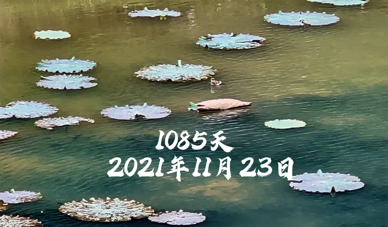 宋昊然大画家走了1085天