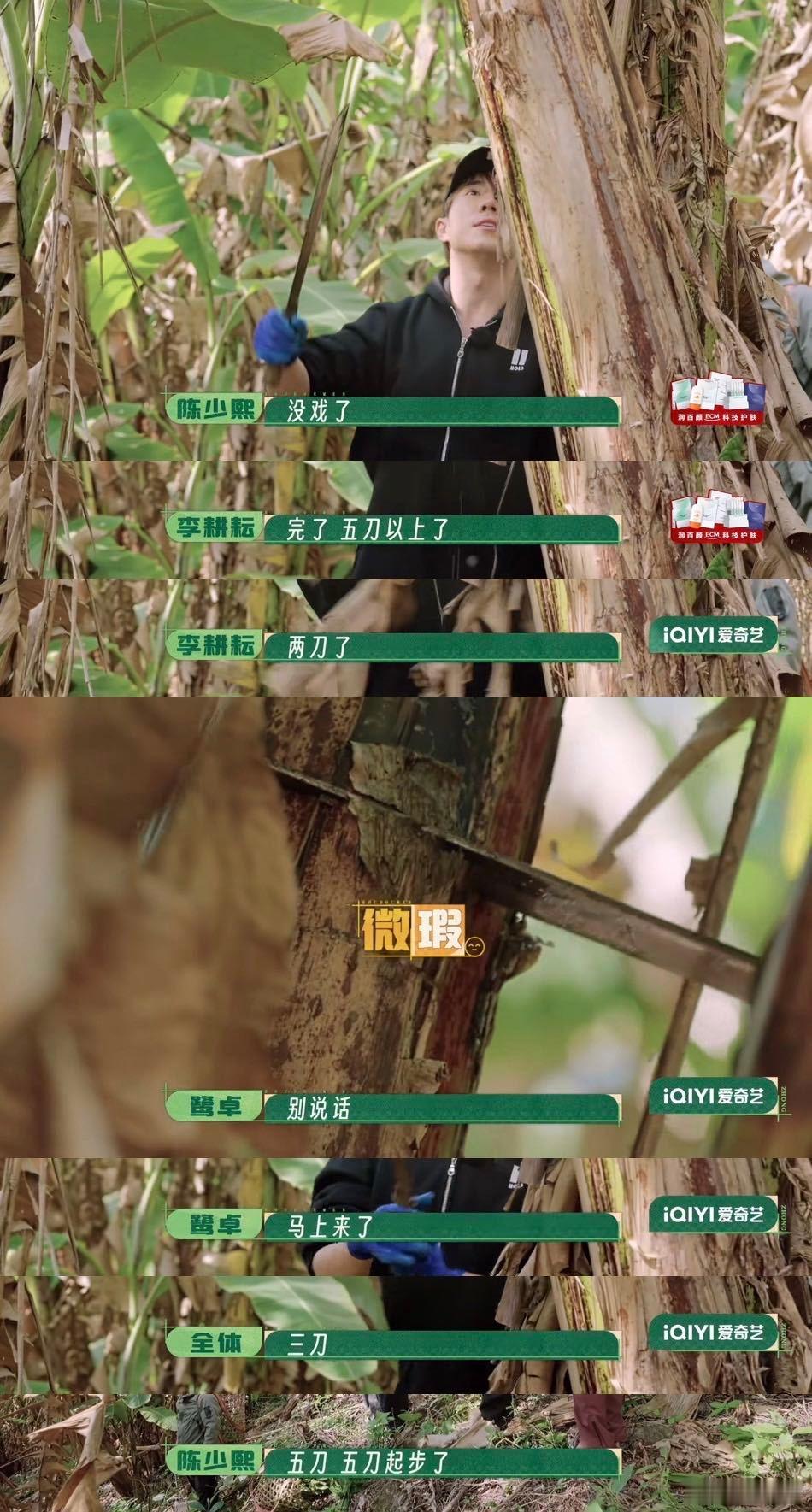 终于知道鹭卓为什么叫鹭十八了追种地吧才挖到宝藏笑点，终于搞懂鹭十八名字的来历了。