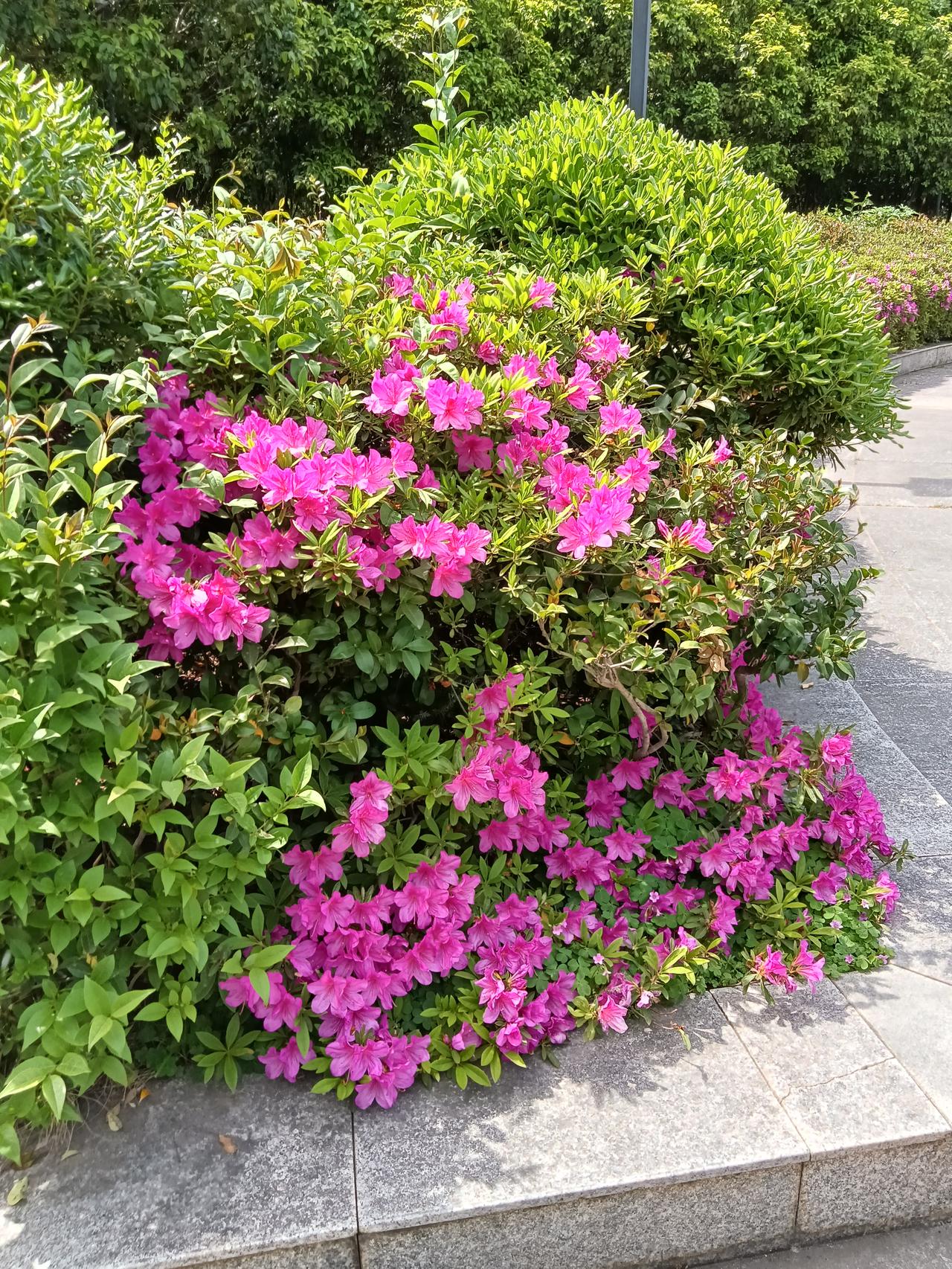 养生保健预防为主望友友们牢记以下教导！
毛泽东指出：生命在于运动。德国知名学者讲