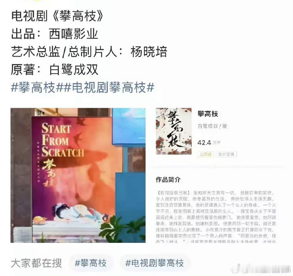 《攀高枝》又到杨晓培手里了……怎么稍微有点意思的IP都到她手里了，以前的作品信任