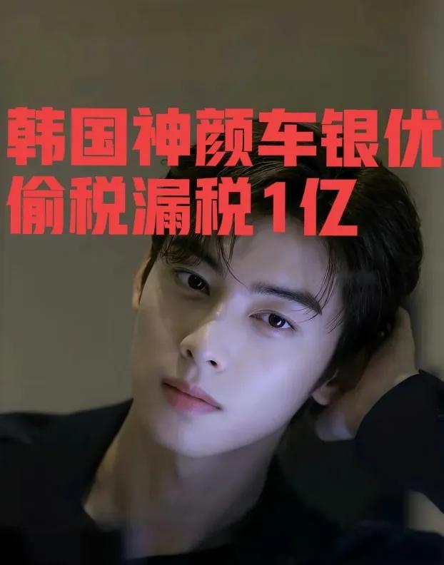 车银优逃税200亿韩元，将近人民币1亿了！
他本身有自己的经纪公司，再通过母亲公