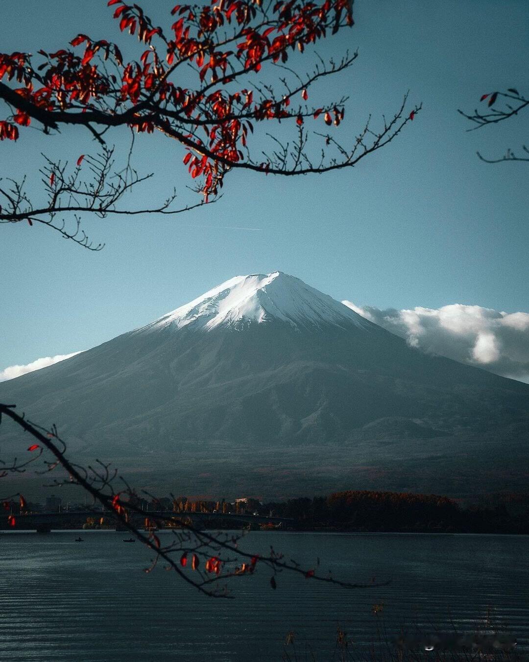 那些越活越明白的人生感悟，藏在日常里

日子一天天过，经历的事儿多了，才慢慢琢磨