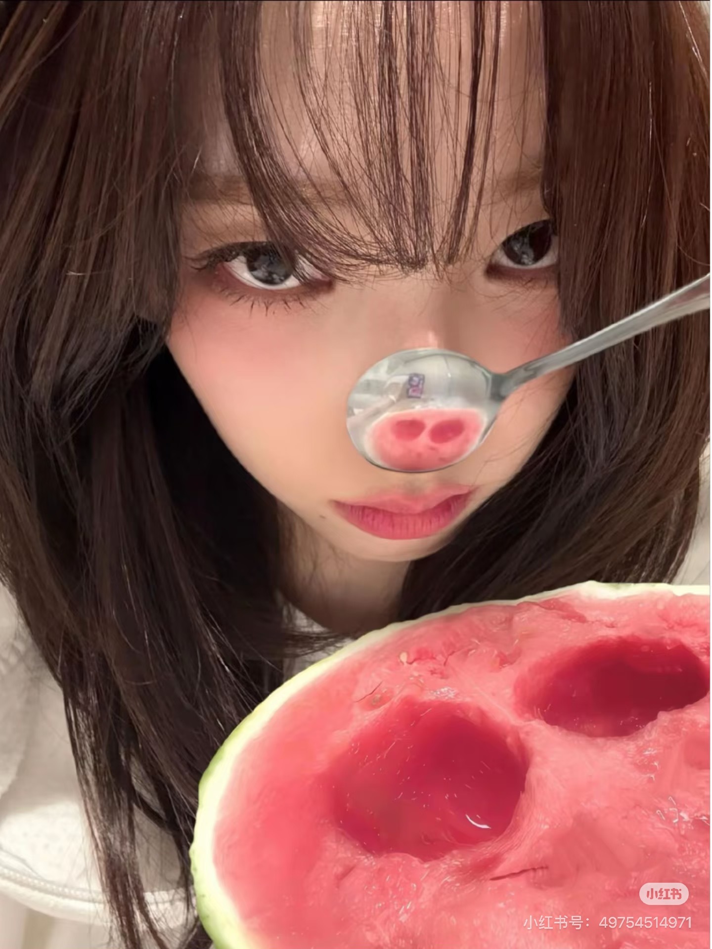 小猪 
