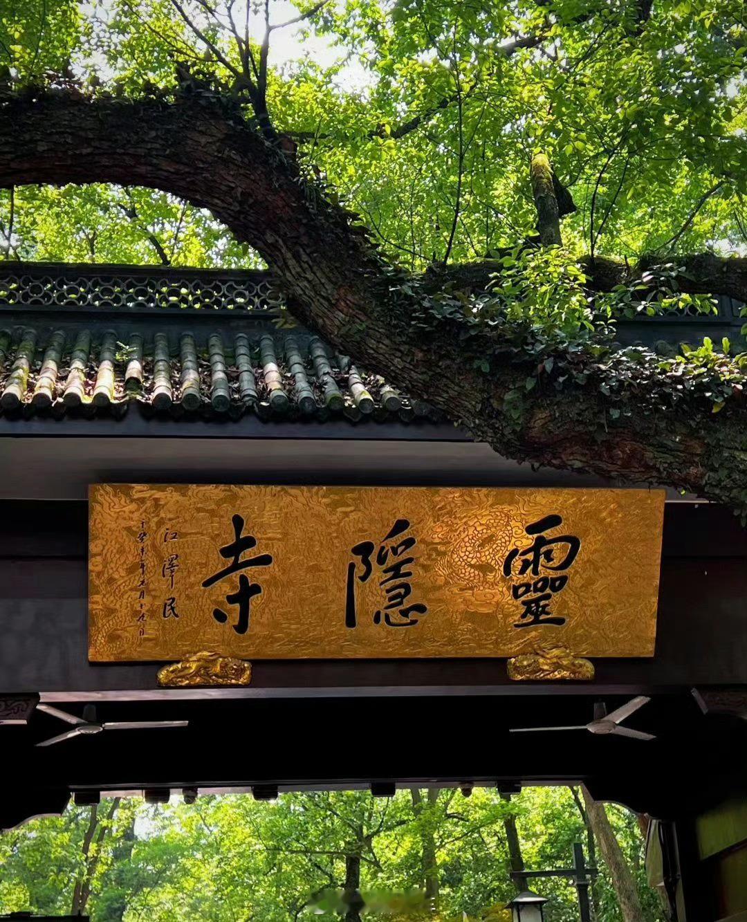 灵隐寺被38万鸽王上了一课交押金，你看他们去不去对付这帮赛博鸽王，灵隐寺你还是太