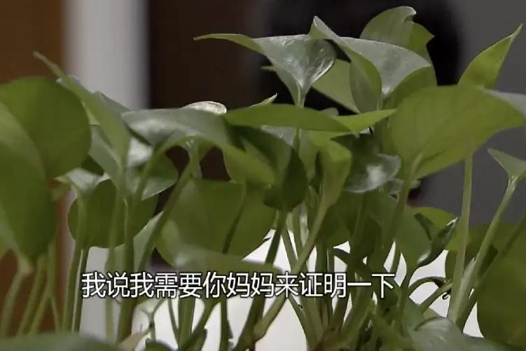 七旬独居老人1400万积蓄，两个月被邻居“借”光了，咋回事儿？

上海七旬独居的
