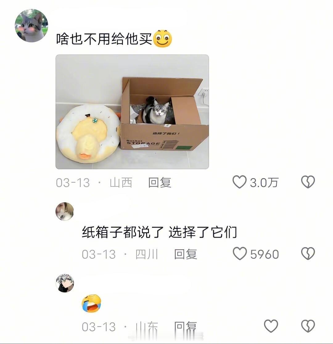 猫咪的天菜是纸箱子暑假冲浪计划我的幽默灵感片场