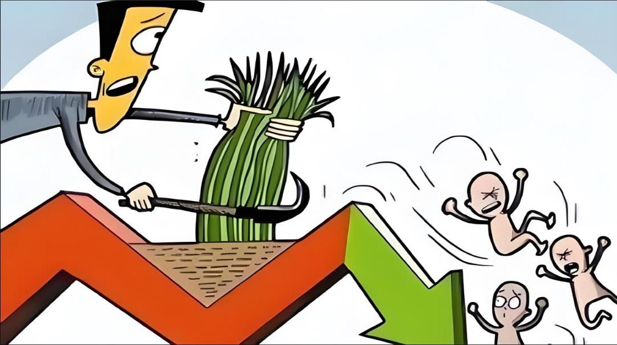 【周五别怕晃荡，下周涨第二浪！】个股指数分别连涨4天和2天后，周四到下周一进入震