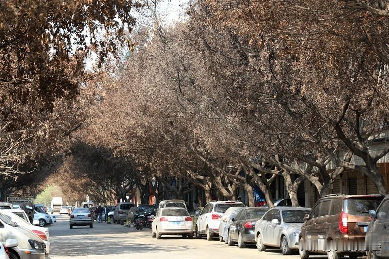 人生确实得经历重重打击和重创，才能大彻大悟。就像我认识的一位朋友，事业失败、婚姻