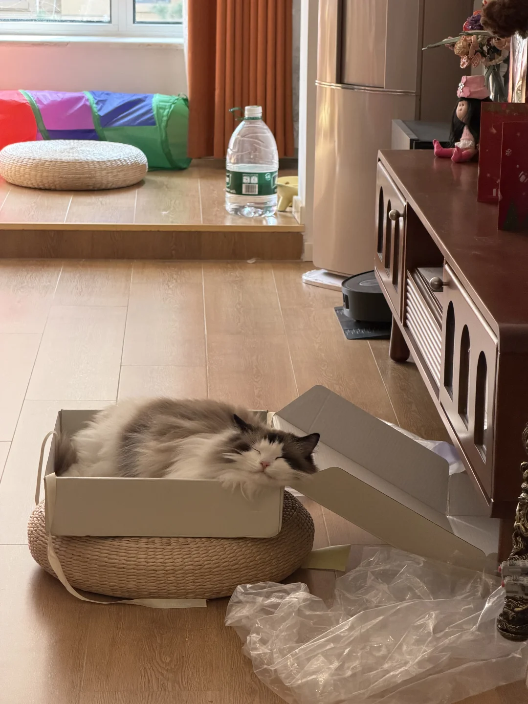 这是做梦梦到猫条了吗 好好笑😀