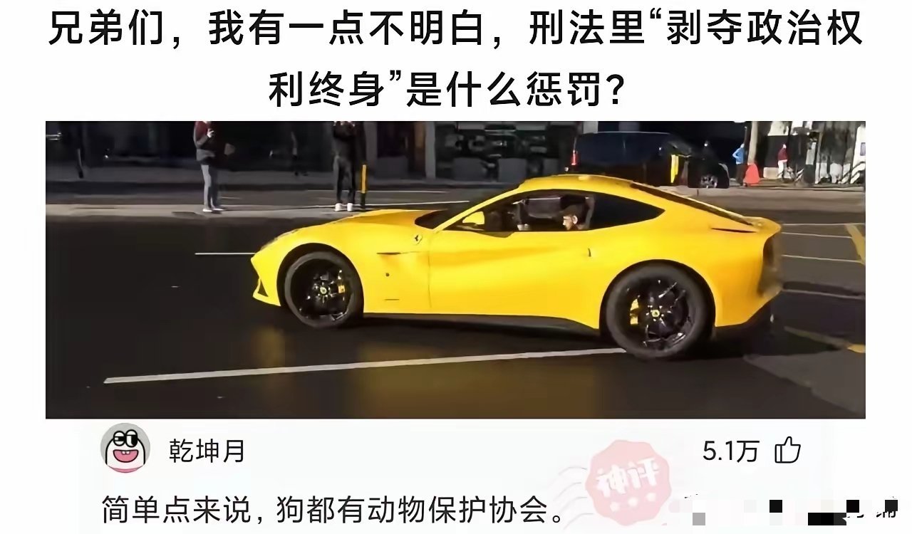 有一点不明白，刑法里“剥夺政治权利终身”是什么惩罚? 