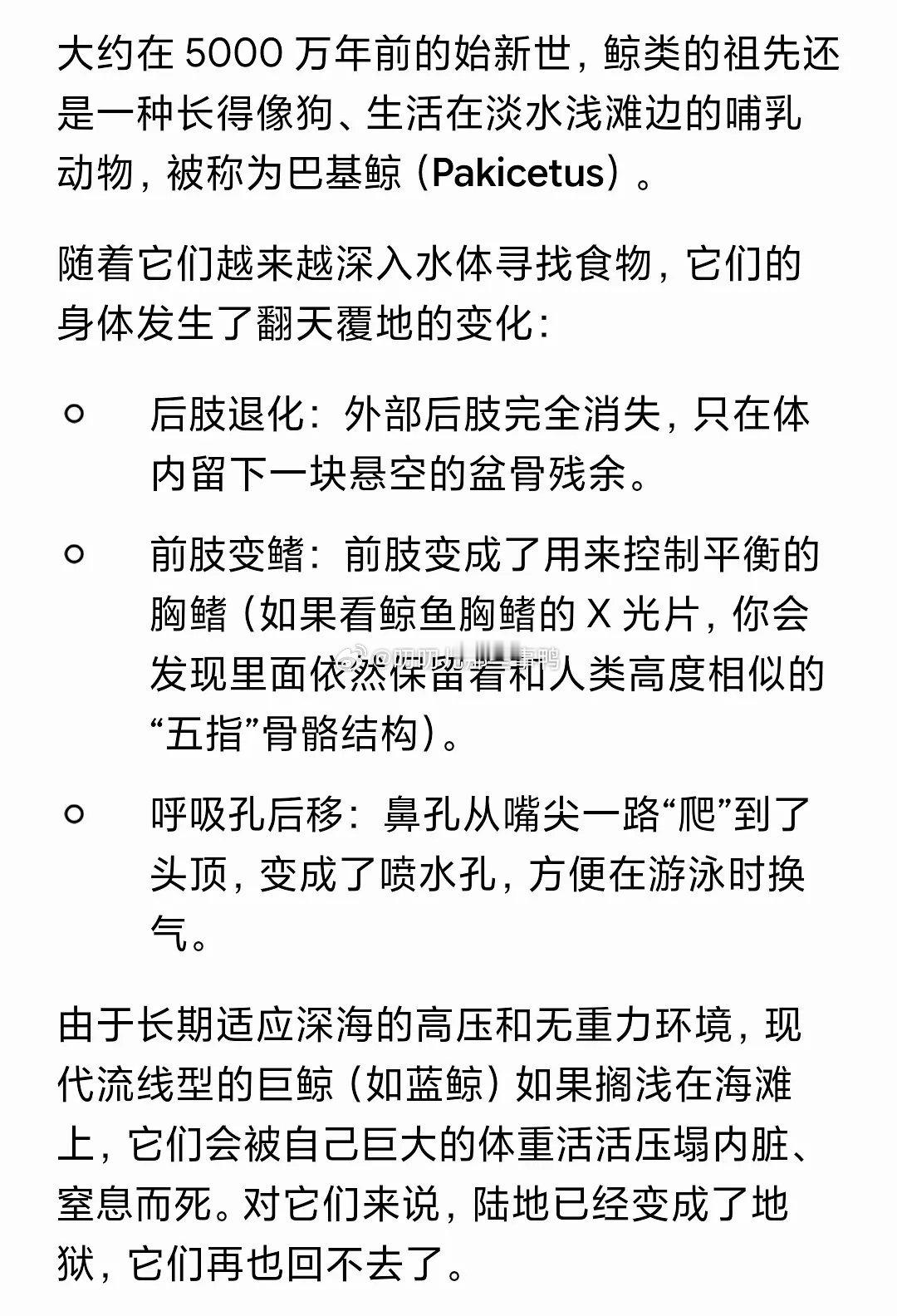 下海后就永远只能环大陆了～