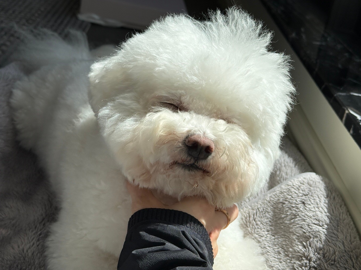 春困…每天都好困🥱 