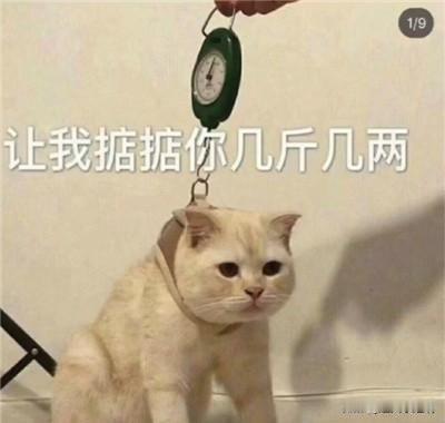 早上看头条一个失业宝妈在家买了毛线勾发夹卖。
她说她当时想的很好，她微信里有20