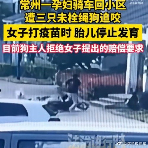 孕妇被未栓绳狗追咬胎停主人拒赔遛狗不栓绳，比狗还要狗！要么别养，要么给管，这狗主