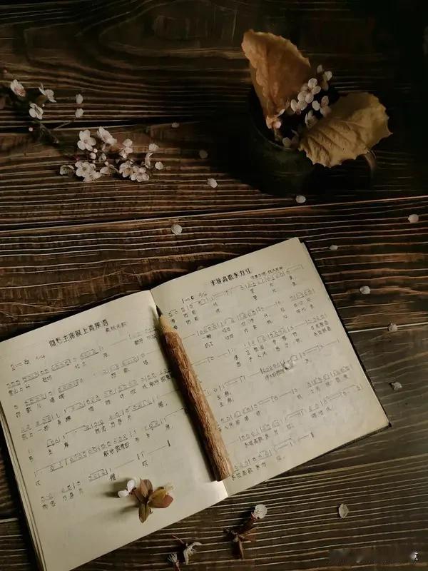 “一首老歌”



初闻不知曲中意，再听已是曲中人。

所有突如其来的感同身受