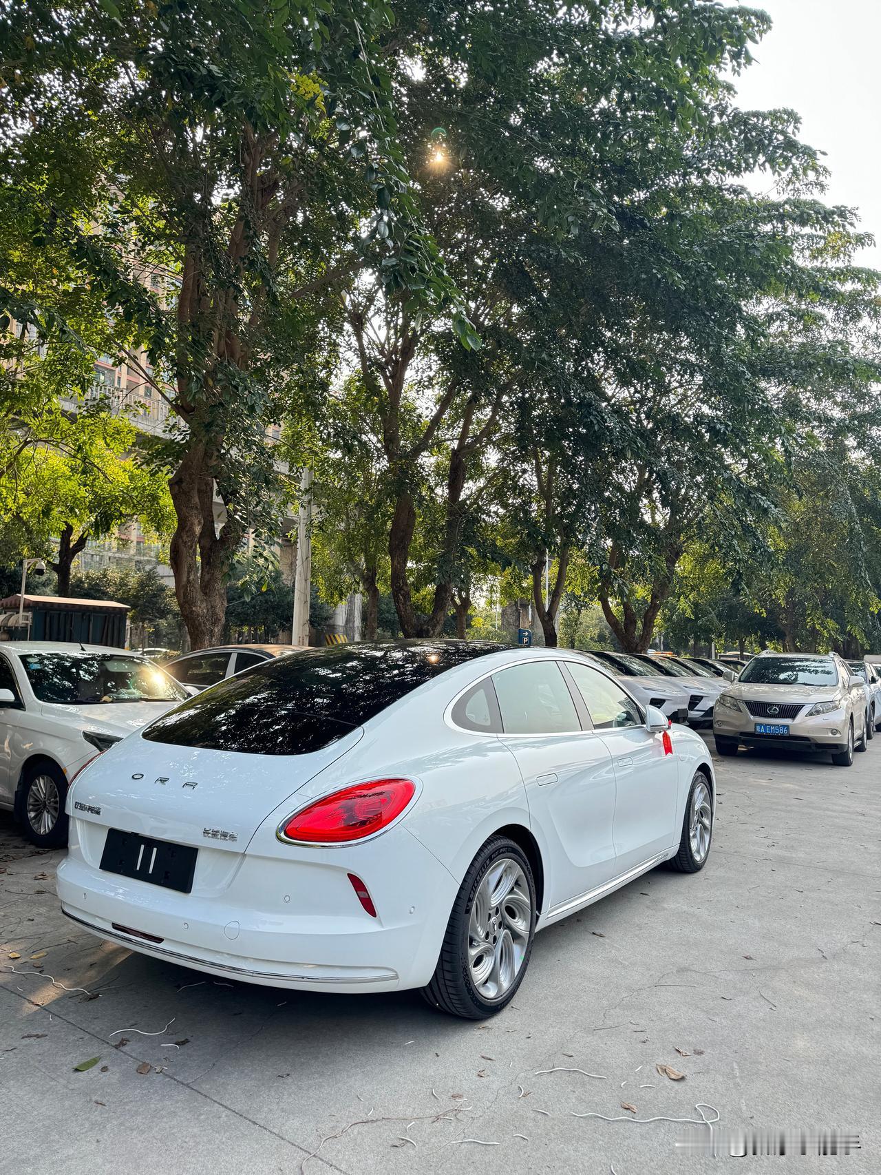 表妹最终花了17W入手了闪电猫，可是好多人都觉得，为什么不买比亚迪？为什么不买雅