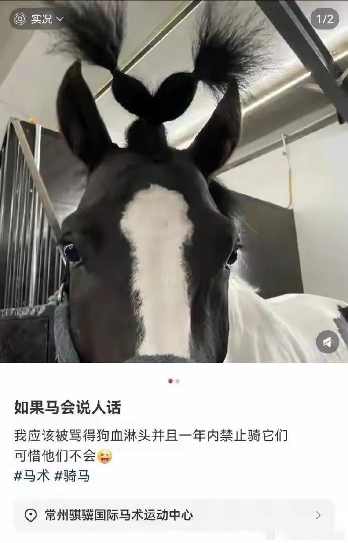 这不是欺负老实人么[捂脸]