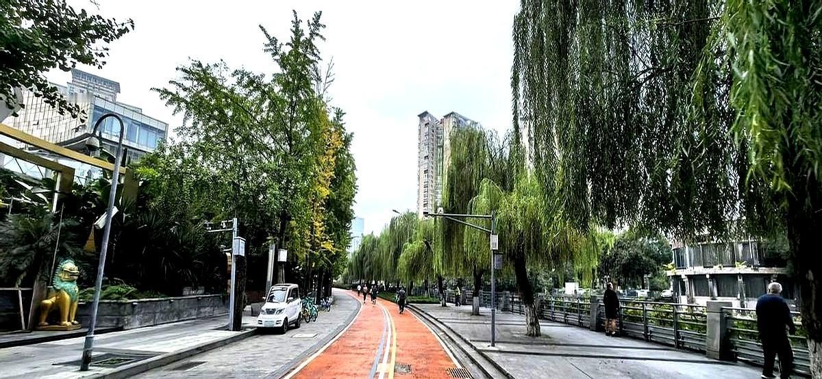 “开跑五分钟就上180，最后一公里只能走。”

这是上周公园里一位穿橙色背心的姑