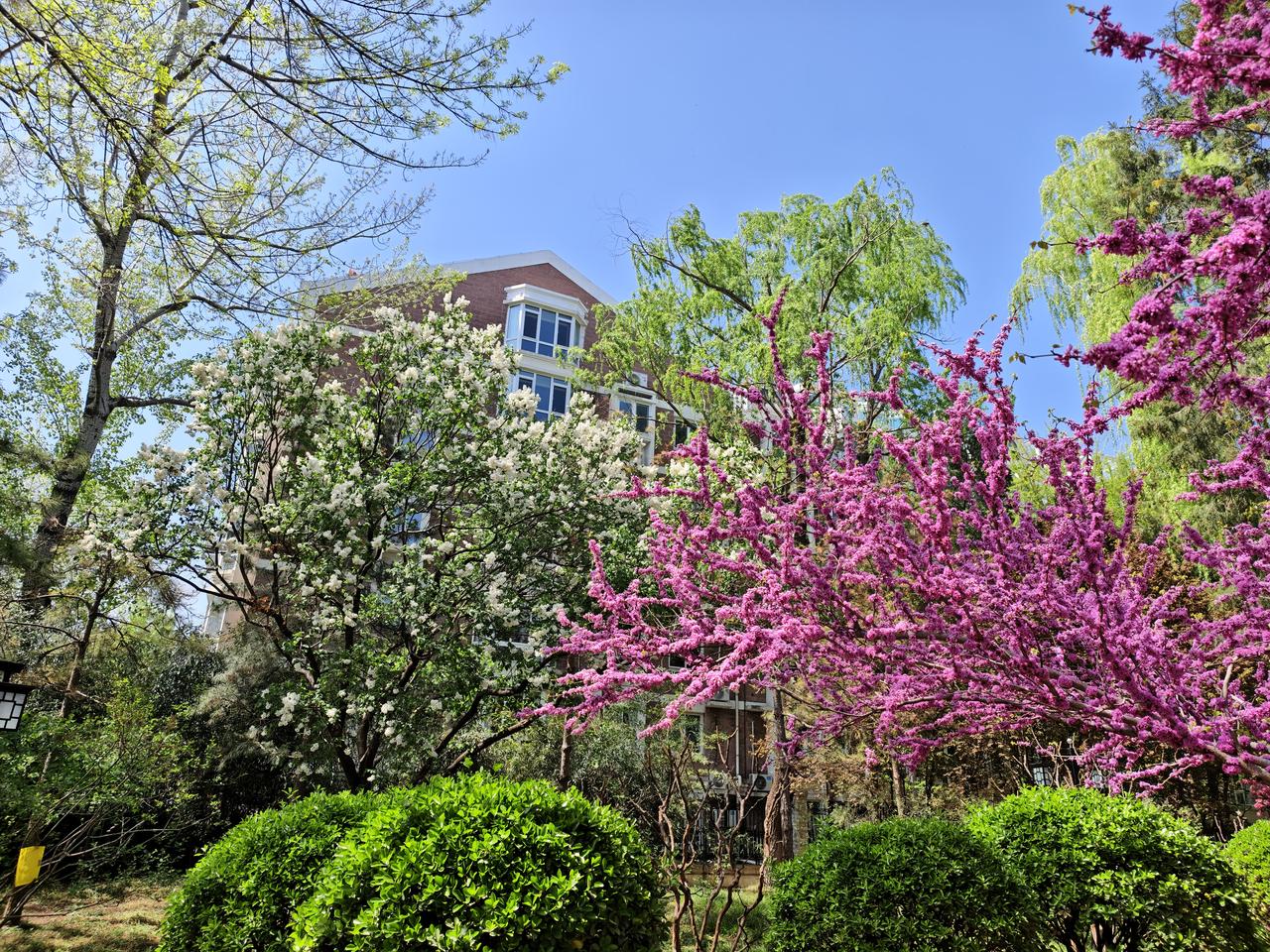 晨跑三公里，一百个俯卧撑，卷腹，哑铃，开合跳，正心正念，坚持做长期正确的事，平常