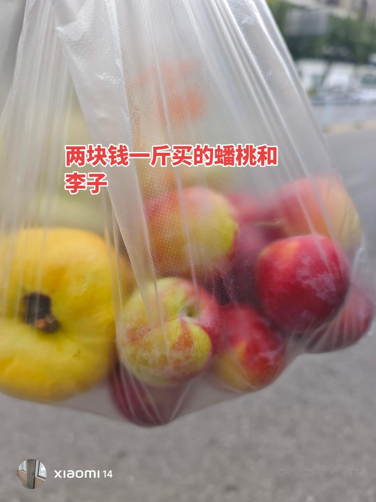 我喜欢吃李子，感觉酸酸甜甜的很可口。当年家里种地时，我父亲种了好几棵李子树。说让
