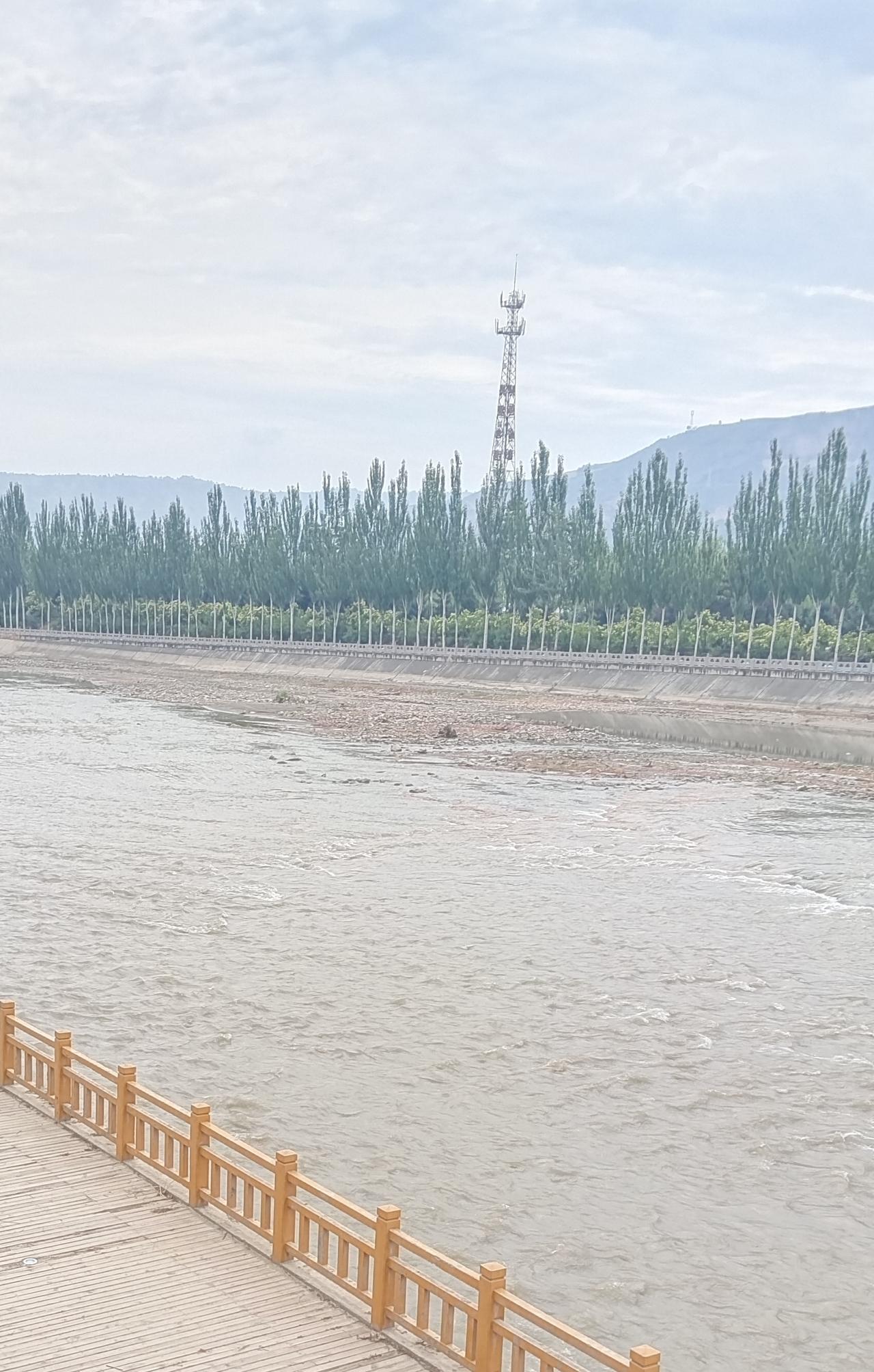 静谧河岸，木栈道延伸，绿树成荫，远山如黛。漫步在这木栈道上，脚下的木板发出有节奏