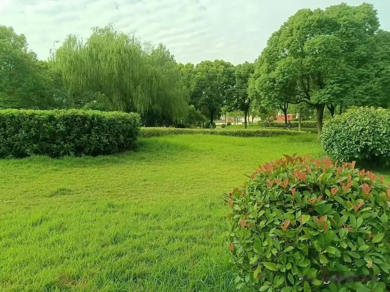 不缴清罚金，重返俄罗斯市场无望。

自2020年起，谷歌因封禁多个俄罗斯媒体账户