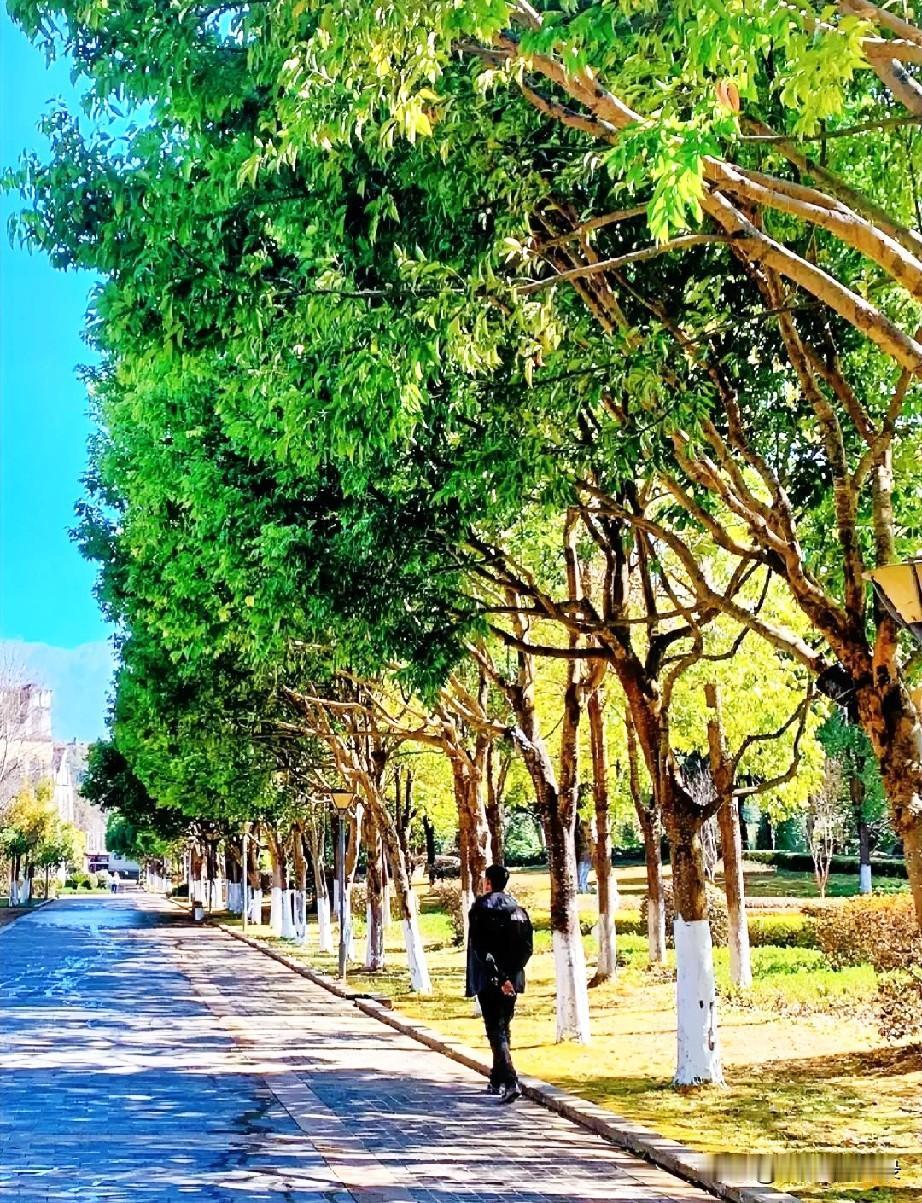 一个男人到了中老年，早已看清人心复杂，世态炎凉。知道社会真真假假、虚虚实实，太多