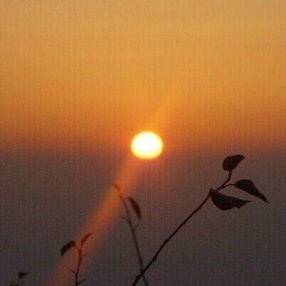 生日快乐🎂🎂🎂