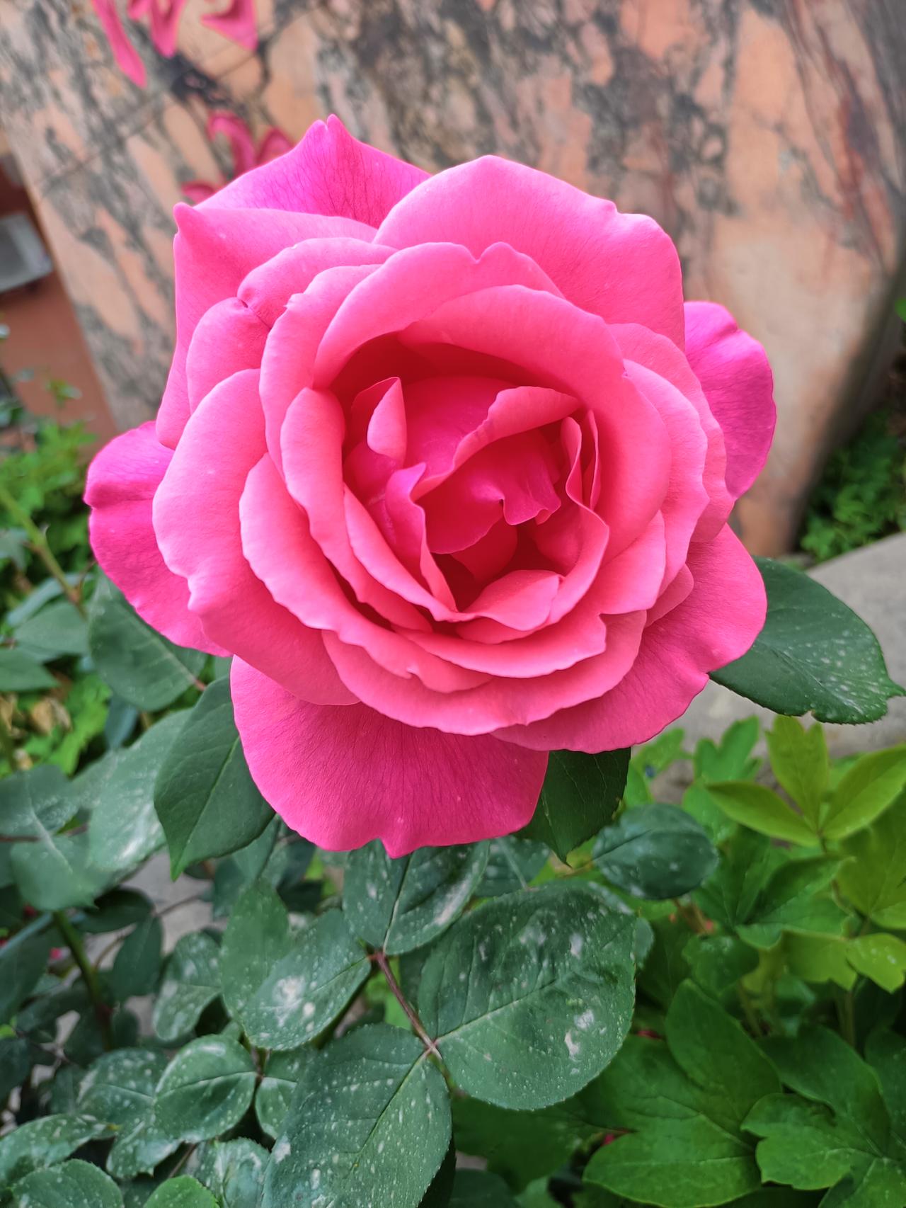 当某个人的消息彻底从你的世界退场，不必陷入自我怀疑的漩涡，更无需卑微追问缘由。指