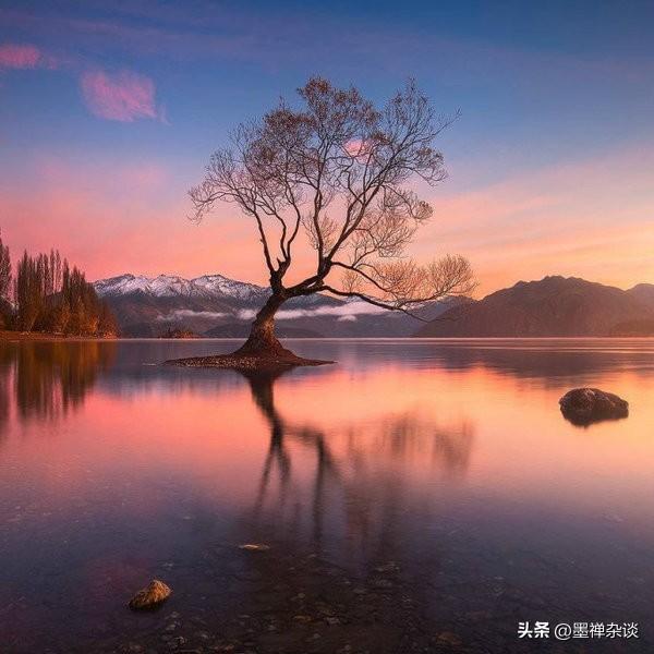 一位在海外陪读五年的妈妈，在深夜发了一条仅自己可见的朋友圈，字字扎心，却又透着一
