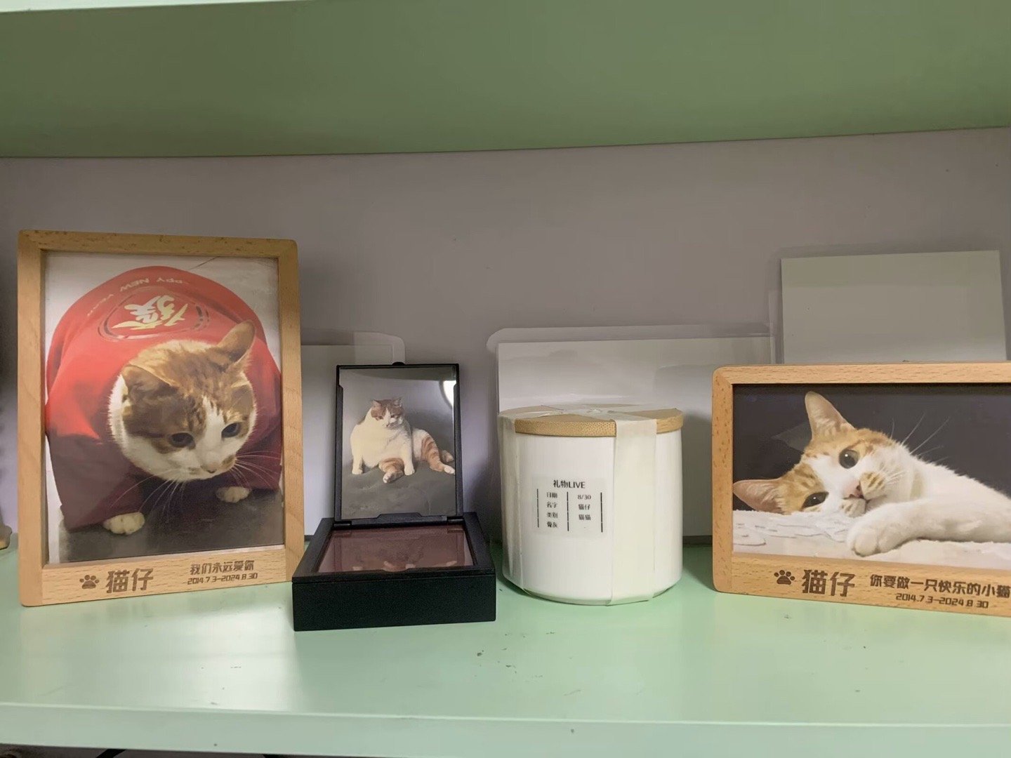 给猫仔的布置的新房间～，以后就会陪在我身边了～决定还是会继续领养毛孩子！ ​​​