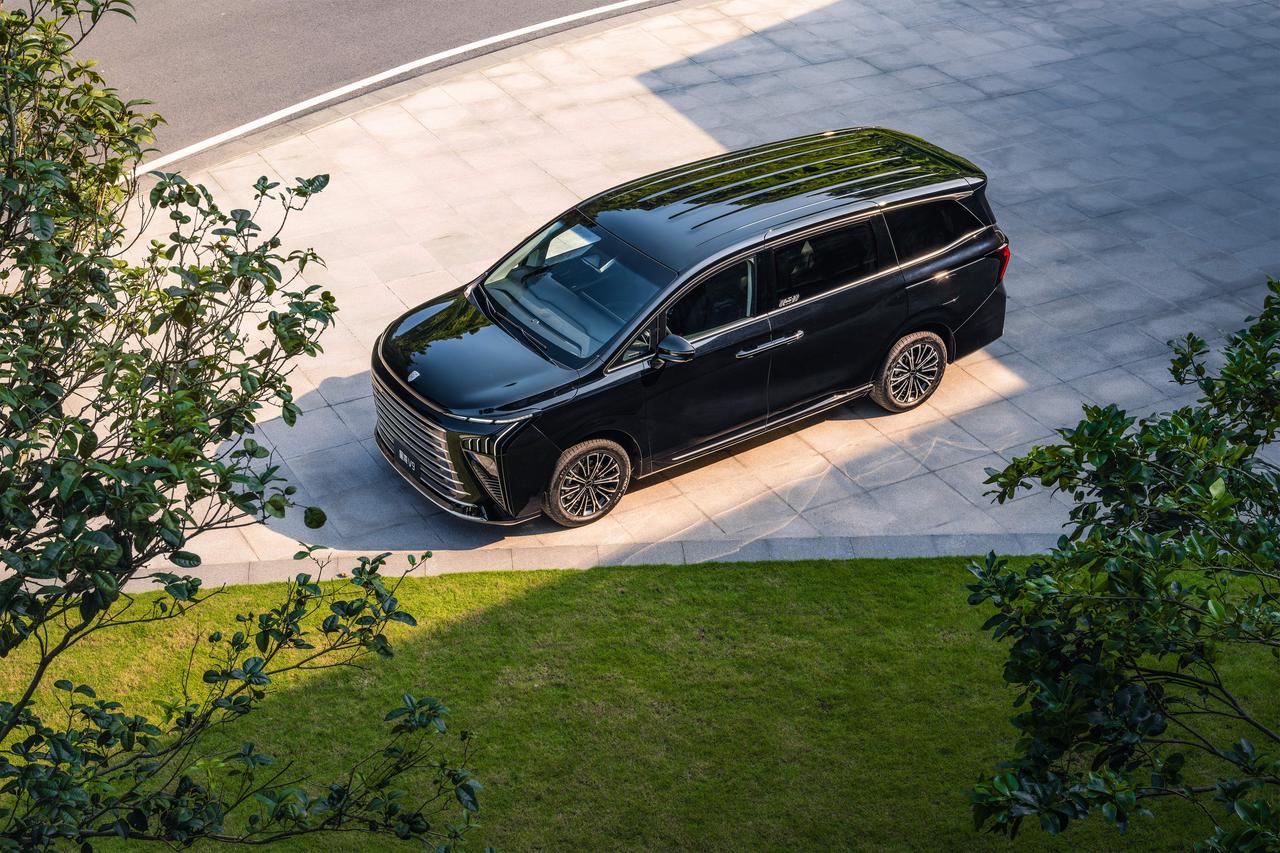 春暖人间，不负花期。风行星海 V9 以实用与豪华兼顾，装得下家人欢笑，也装得下春