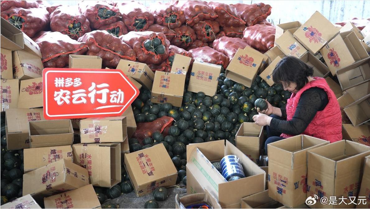 天水农业老师这操作太懂行！打开 PDD 把全国水果加进购物车，不是瞎吃，每口都盯