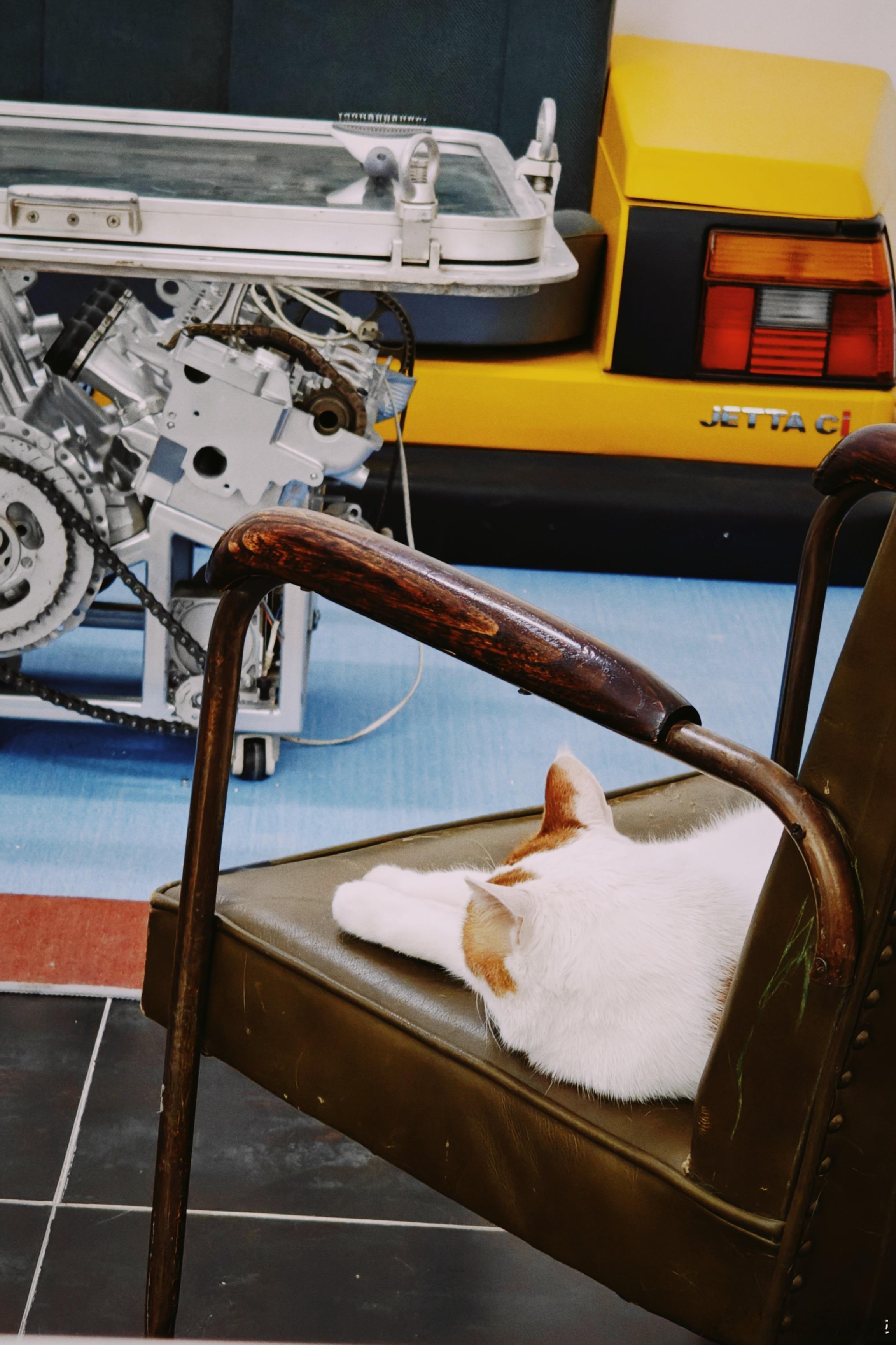 复工第一天我忙炸了，你咋这么闲!开工大吉