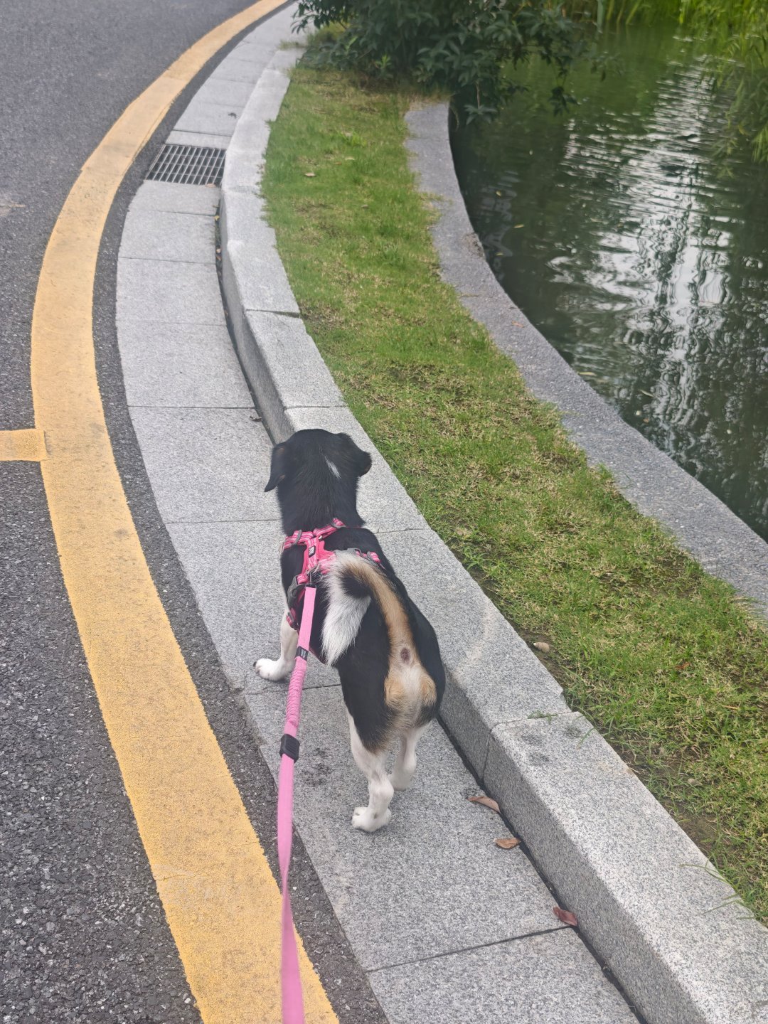 趁还没变天出门溜达一下，陪妈妈和ee们喝个下午茶