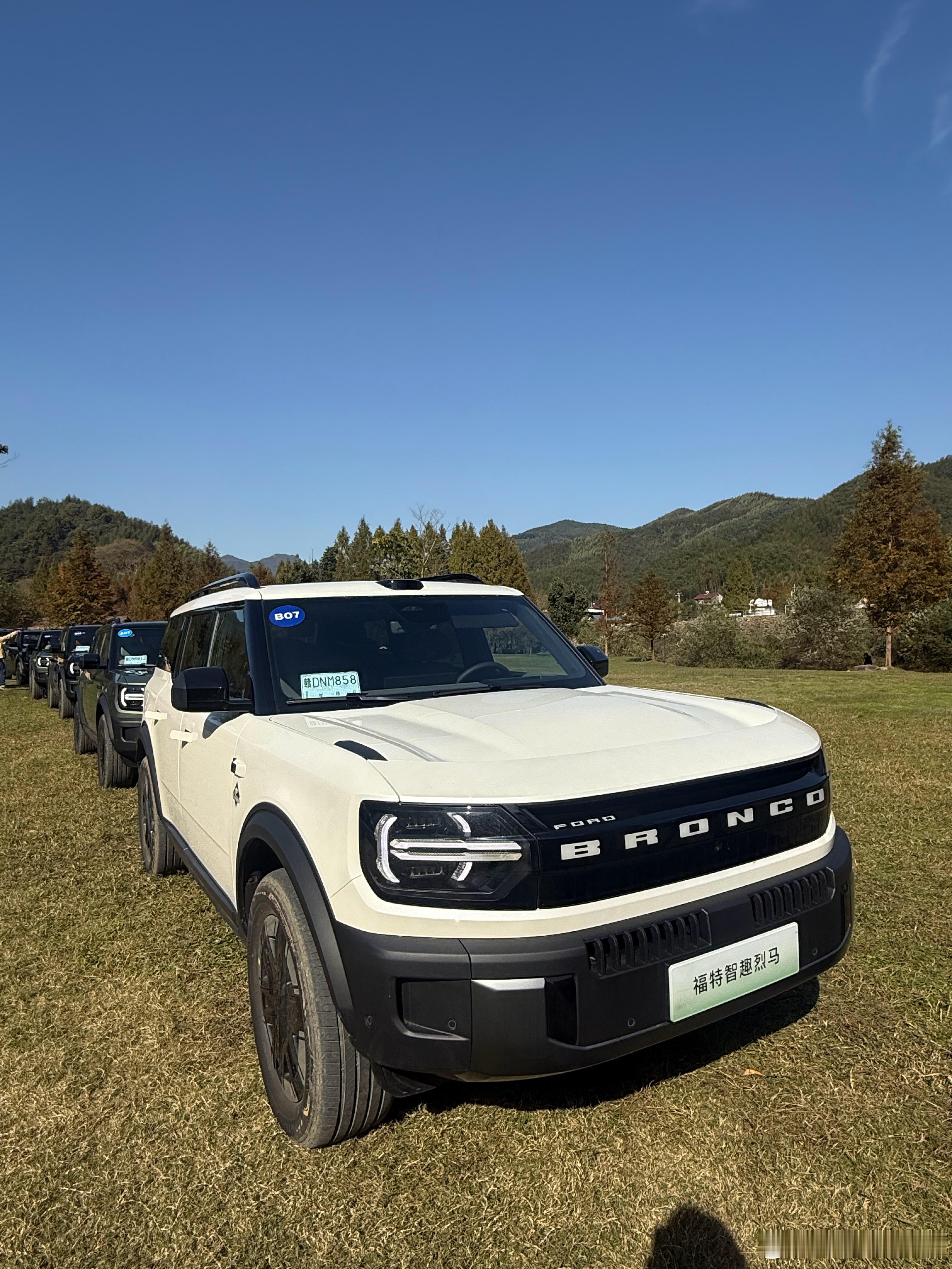 智趣烈马哪个颜色好看