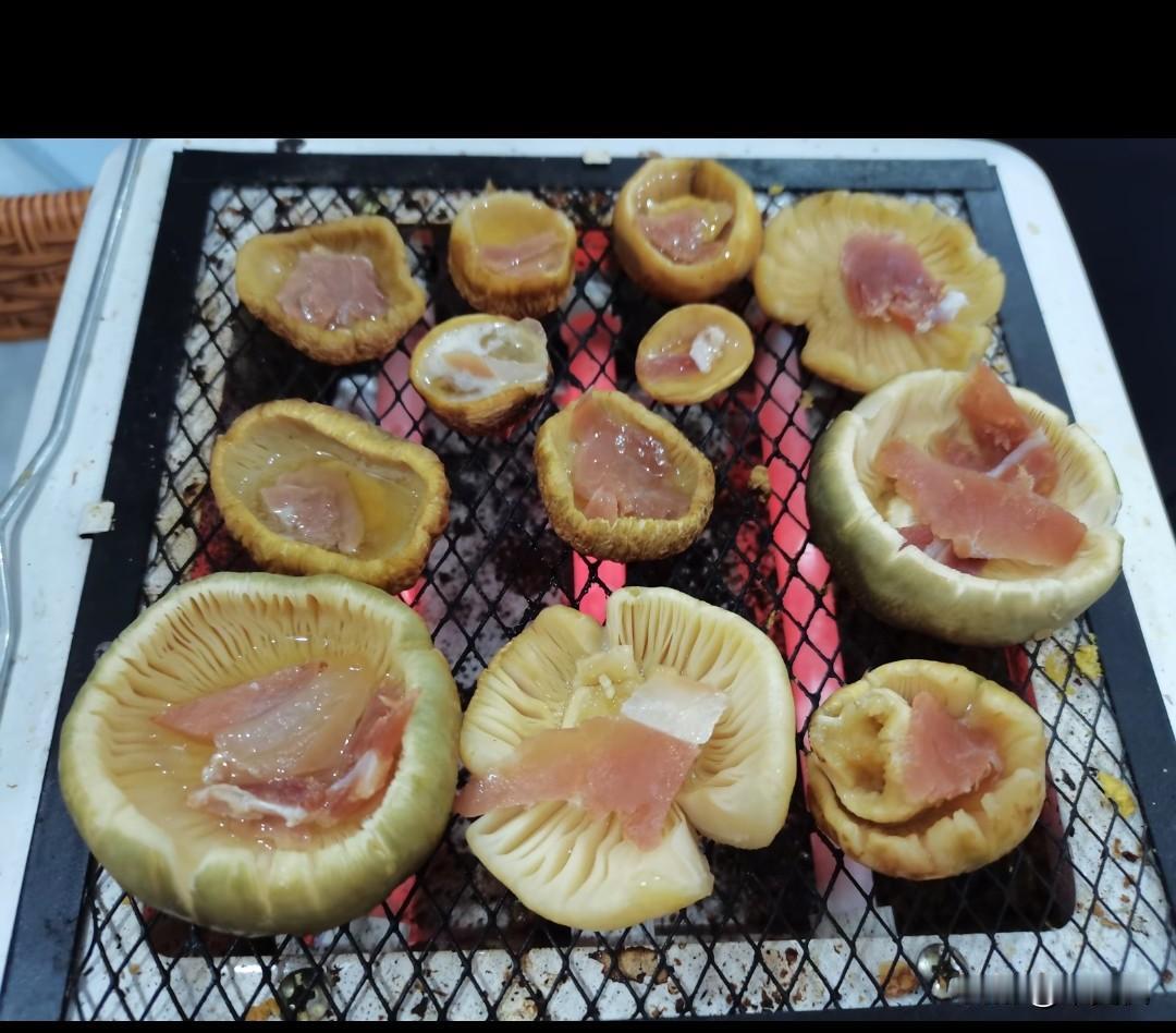 近来野生菌开始上市了，夜间路过烧烤摊，扑鼻而来的菌香飘荡在晚风里。望着明月几声高